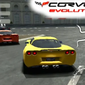 CORVETTE