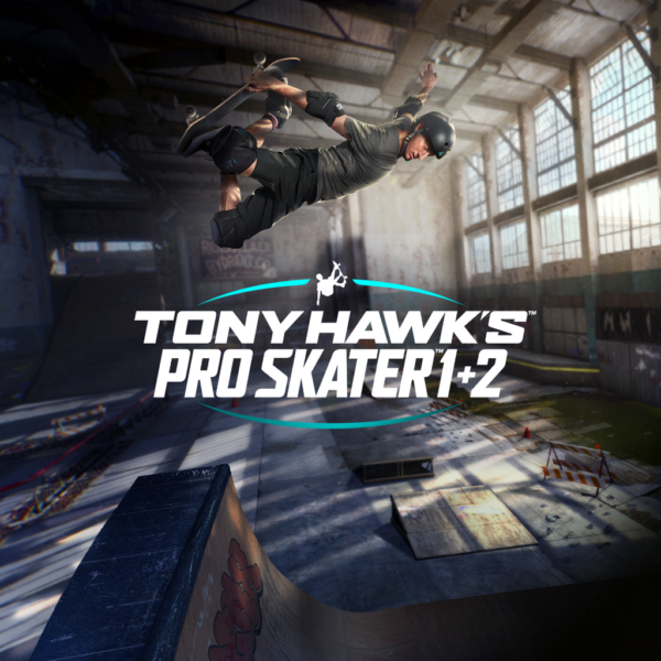HAWK'S SKATER 2