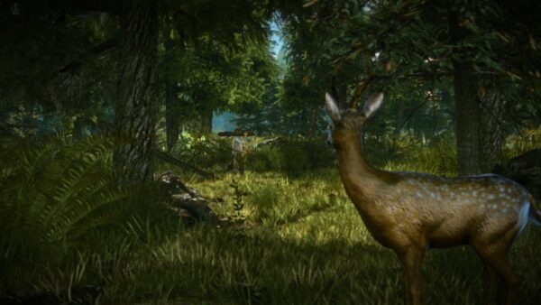 The Witcher 2 Assassins of Kings Enhanced Edition