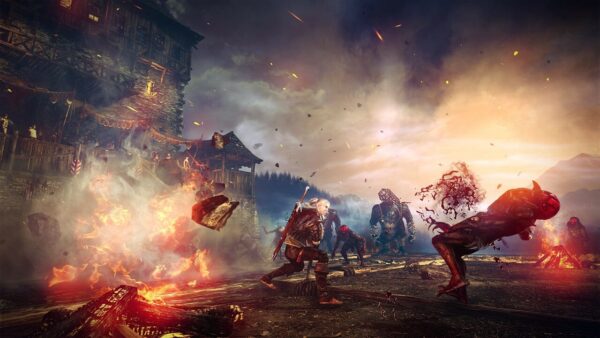 The Witcher 2 Assassins of Kings Enhanced Edition
