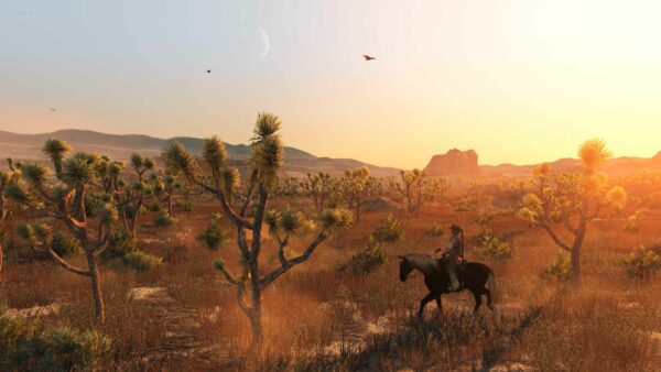 Read Dead Redemption